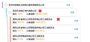 菏澤市定陶區(qū)光明電力服務(wù)有限責(zé)任公司信息概覽