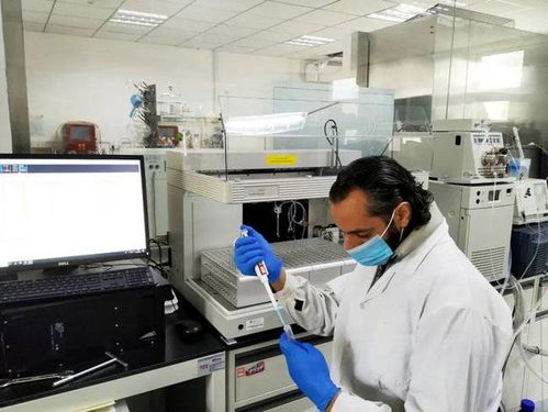 專業(yè)解碼 北京工商大學(xué)食品與健康學(xué)院概覽與投資咨詢服務(wù)洞察